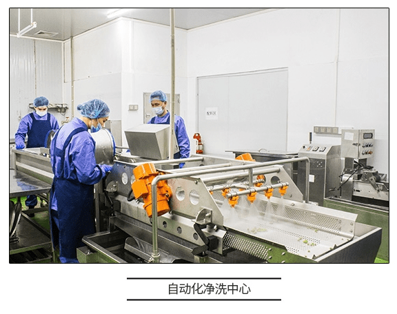直擊工廠溯源 咚吃如何以科技賦能，保障食品安全新高度