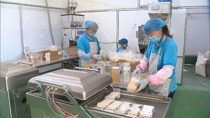 河北 提升產(chǎn)地初加工水平，助力農(nóng)產(chǎn)品提質(zhì)增效與優(yōu)價(jià)